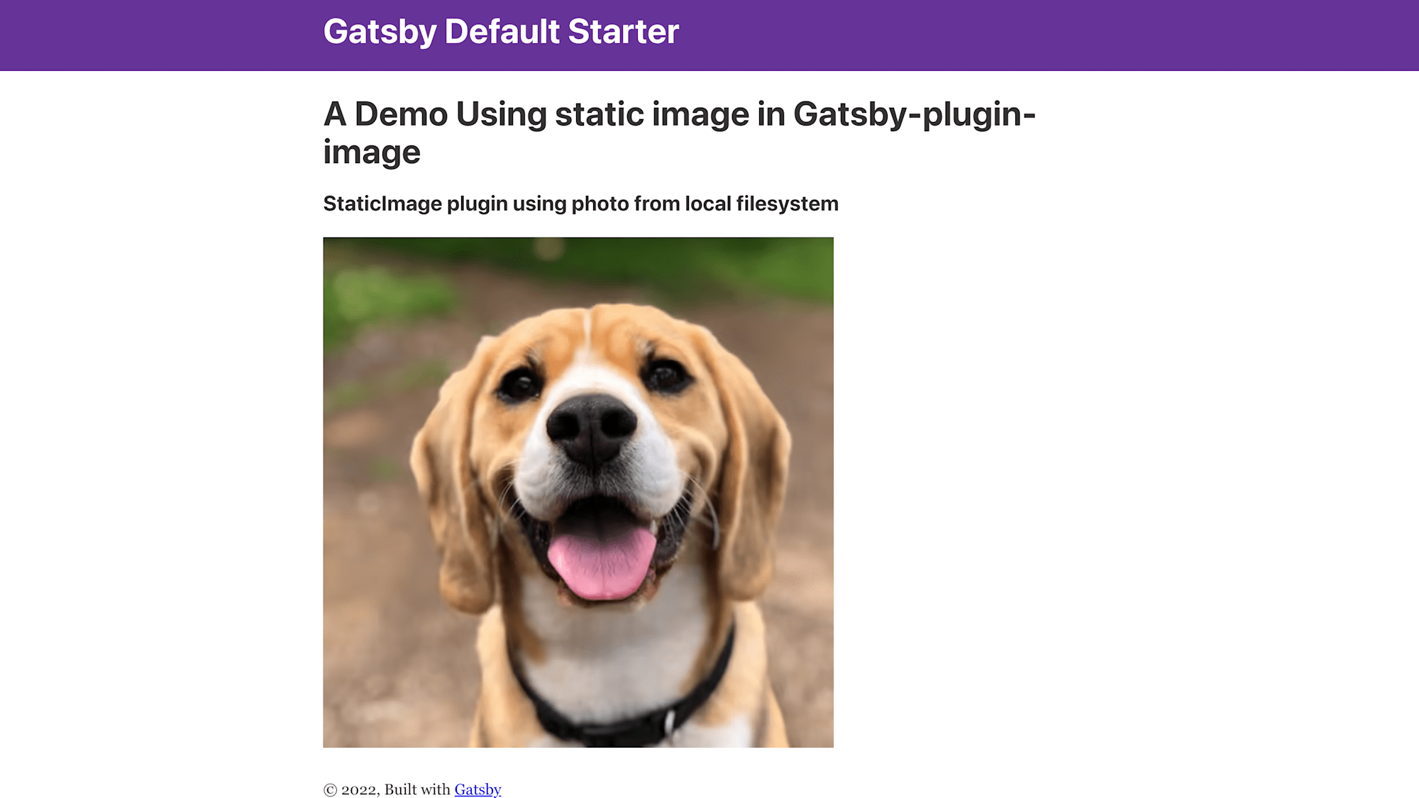 Gatsby - Static Image