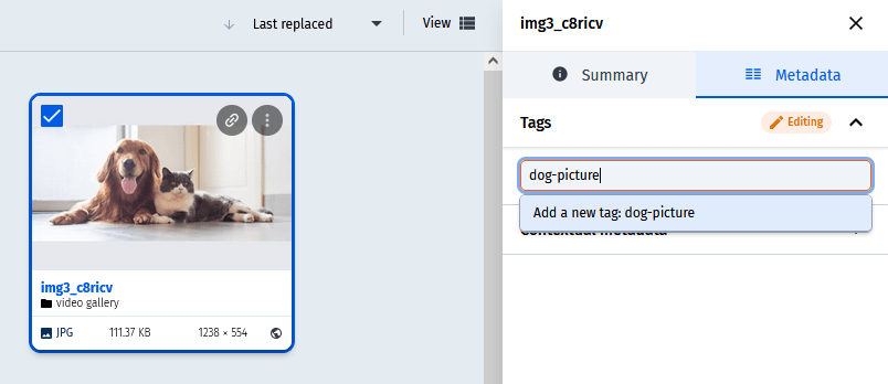 dog pictures