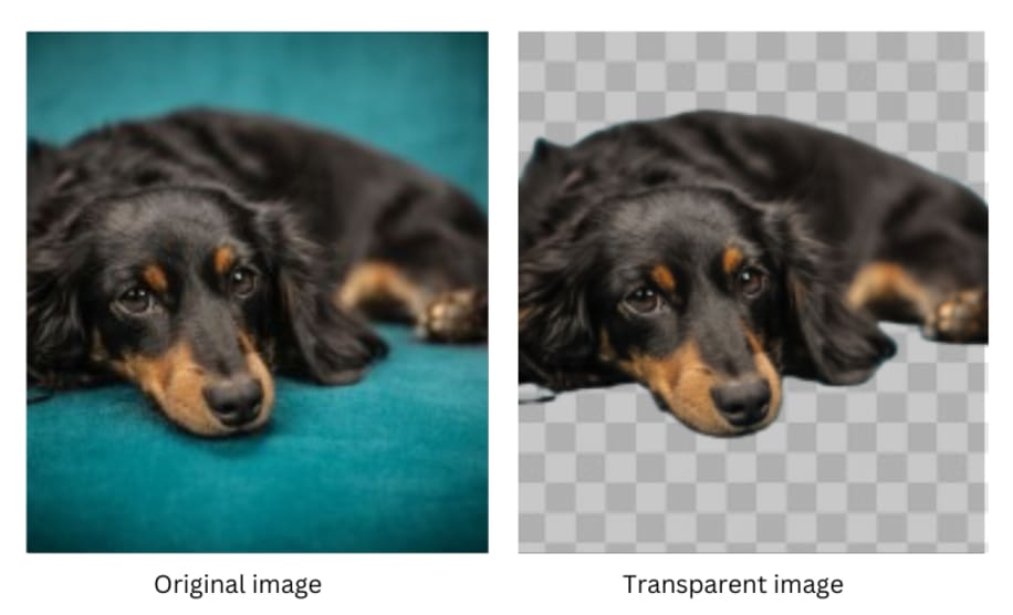 Comparing Transparent Image File Types: Which One Should You Use ...