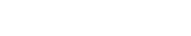 salling group logo