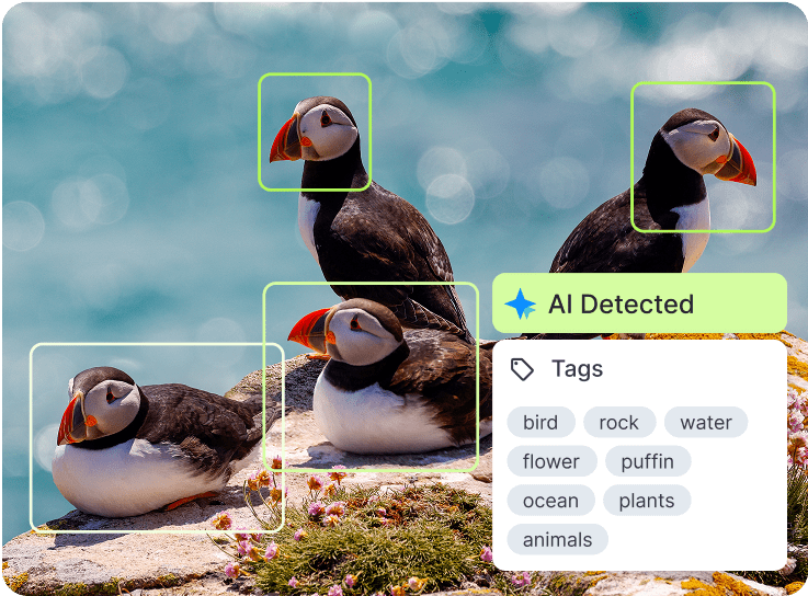 Cloudinary Community