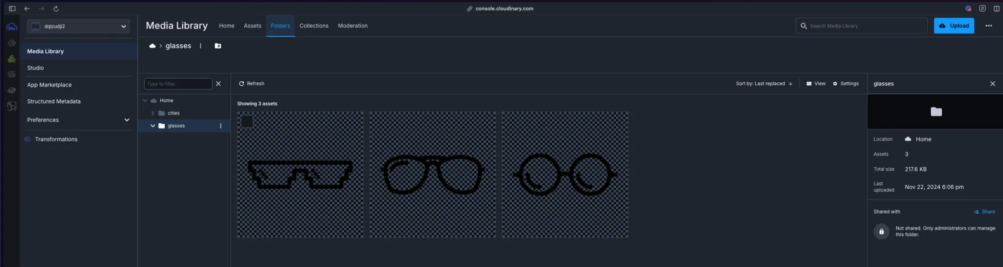 glasses folder