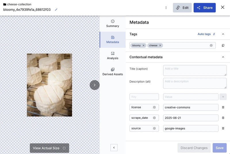 Cloudinary's Metadata tab with the chosen image uploaded and tagged