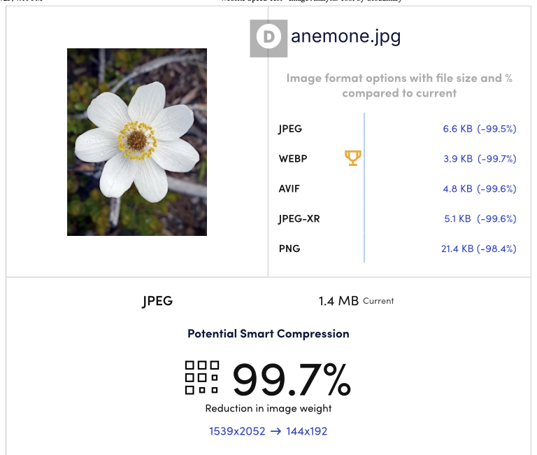 A JPEG of an anemone flower with image format options with file size and percent compared to current. WEBP has an icon of a trophy next to it.

JPEG is currently 1.4MB. There is a potential smart compression of 99.7%, from 1539x2052 to 144x192.