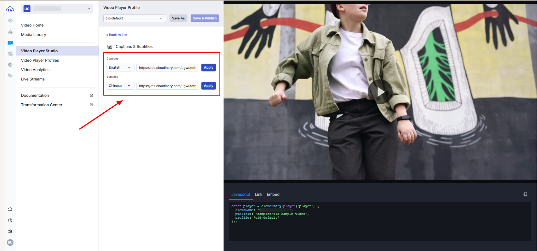 Cloudinary Console with the Captions & Subtitles section circled in red.