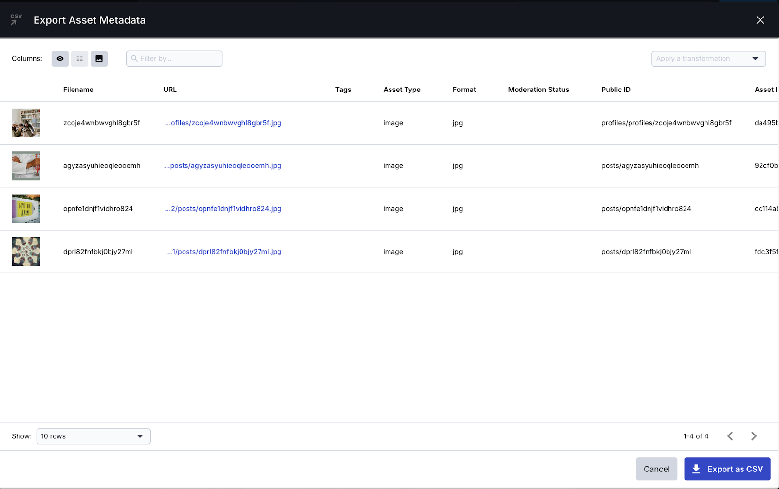The Export Asset Metadata app shows the filename, URL, Tags, Asset Type, Format, Moderation Status, Public ID, and more.