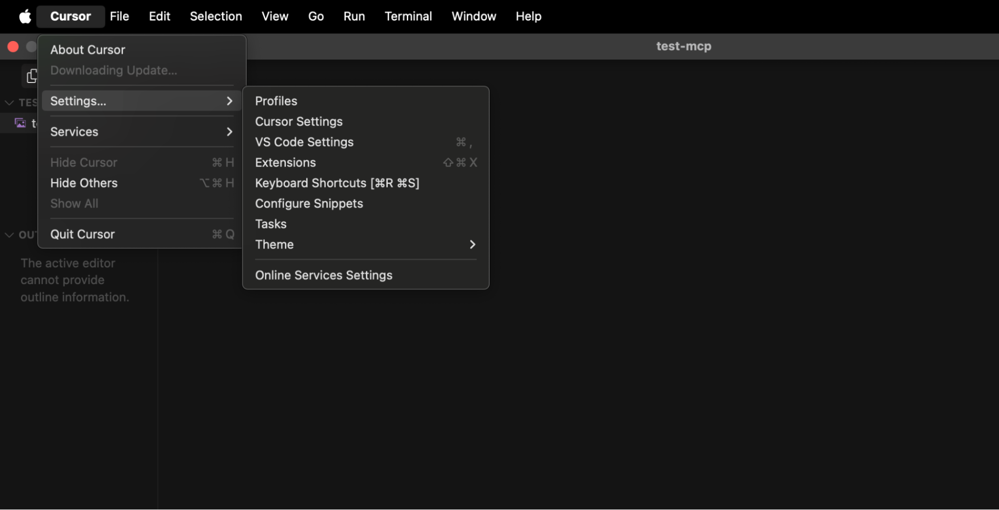 Cursor Settings