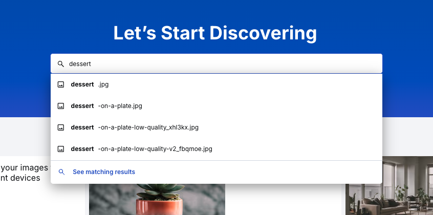 Global search input, searching for the keyword “dessert”