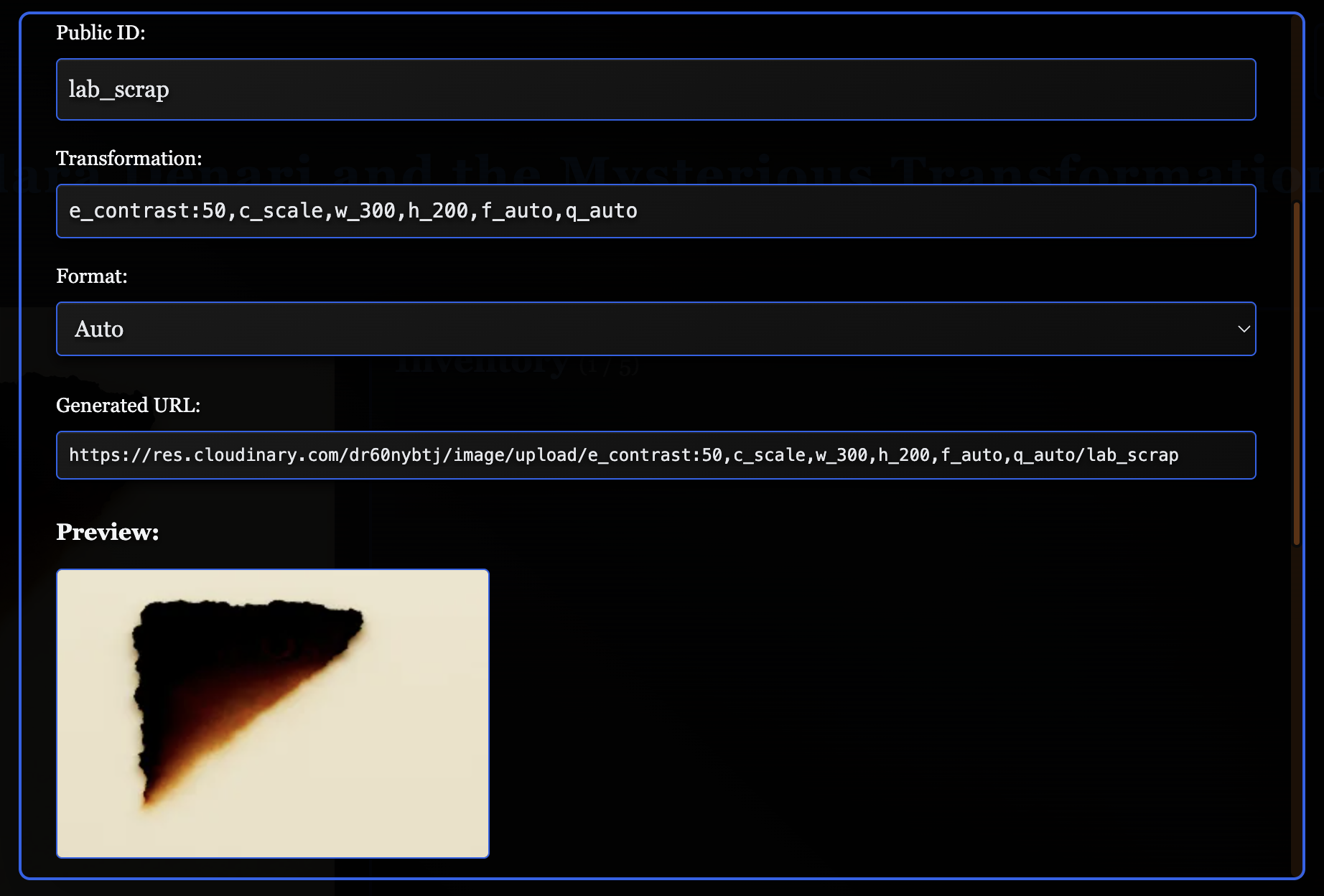 Public ID, Transformation, Format, and Generated URL