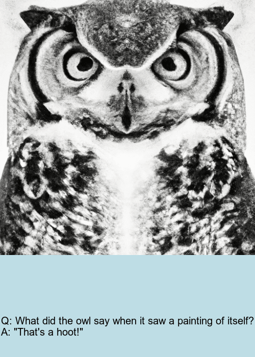 Image of the same owl in black and white, with the joke written in a text box underneath