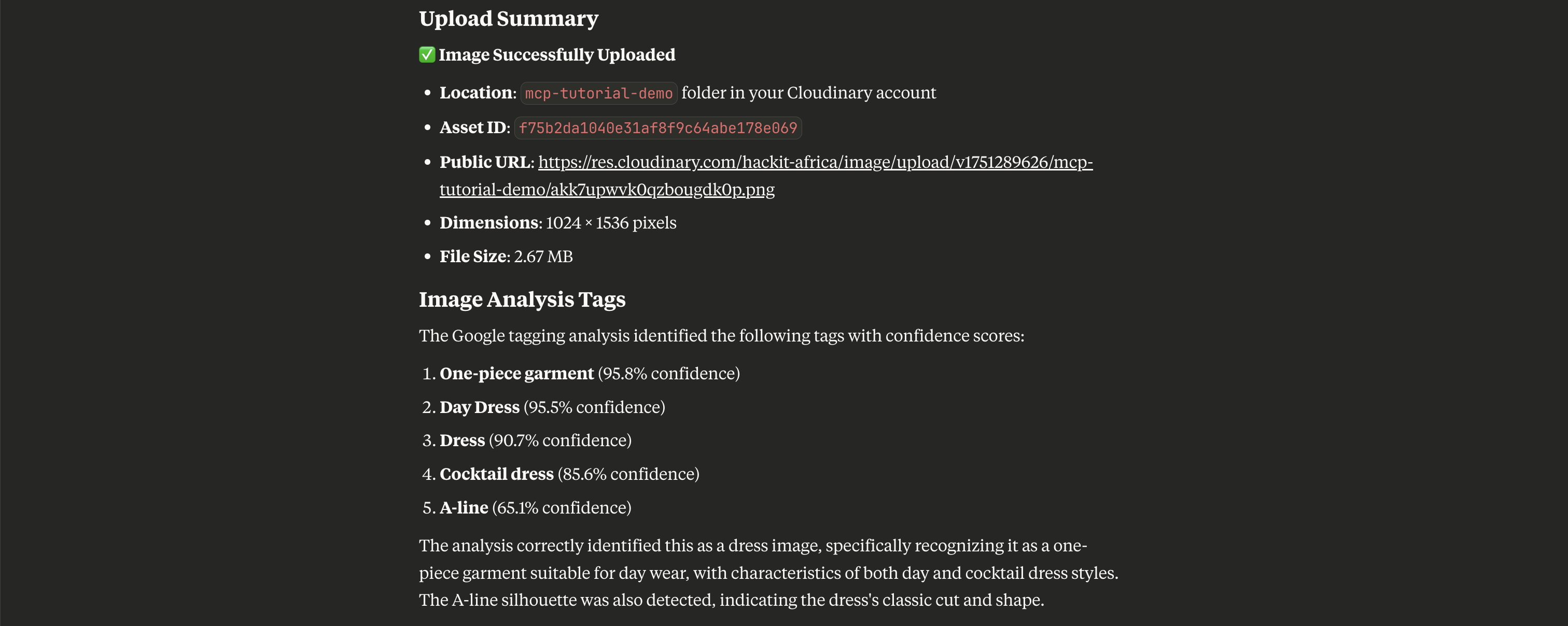 Claude Analysis Output