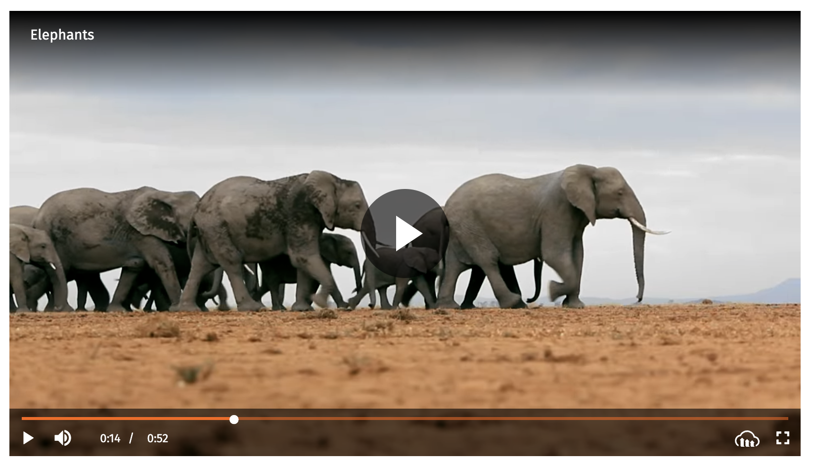Elephant video player before