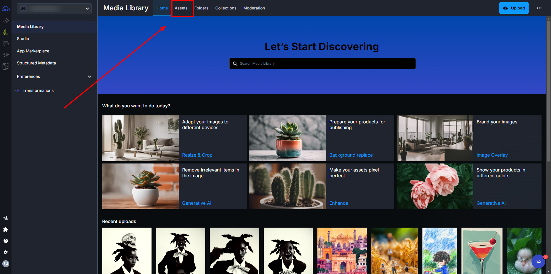 The Media Library page with the Assets tab outlined in red