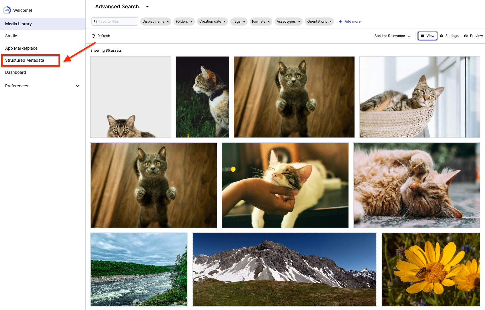 Cloudinary Media Library. Structured Metadata is outlined in red.