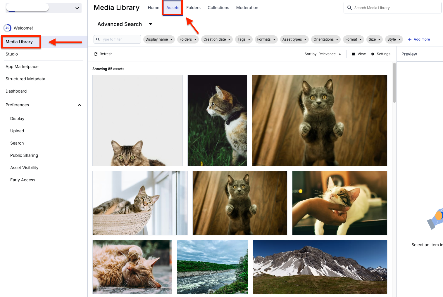 Assets tab is at the top of the Media Library.