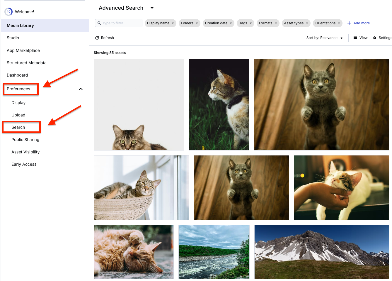 On the Cloudinary dashboard, Search tab is outlined in red underneath Preferences.