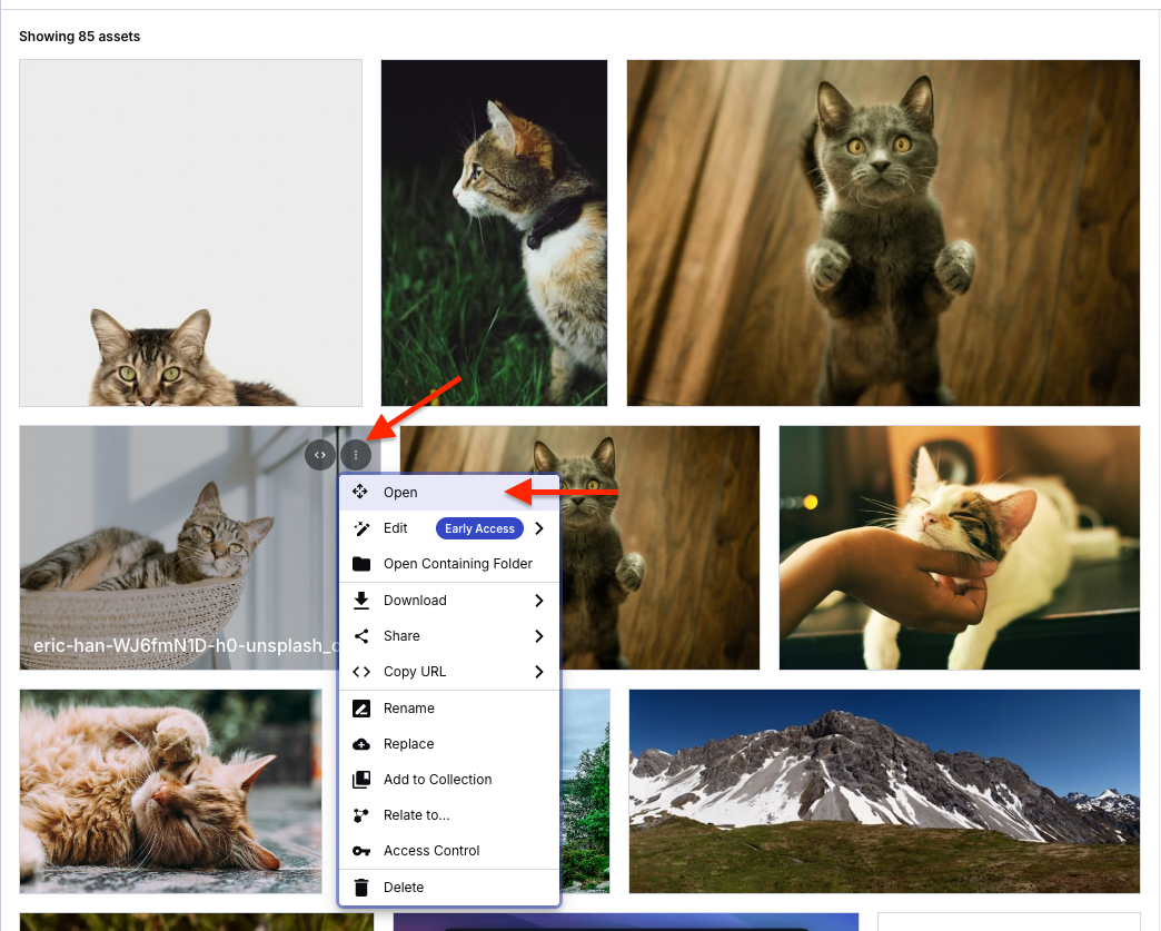 Click the three-dot button on an image. A pop-up will appear with Open as the first option.