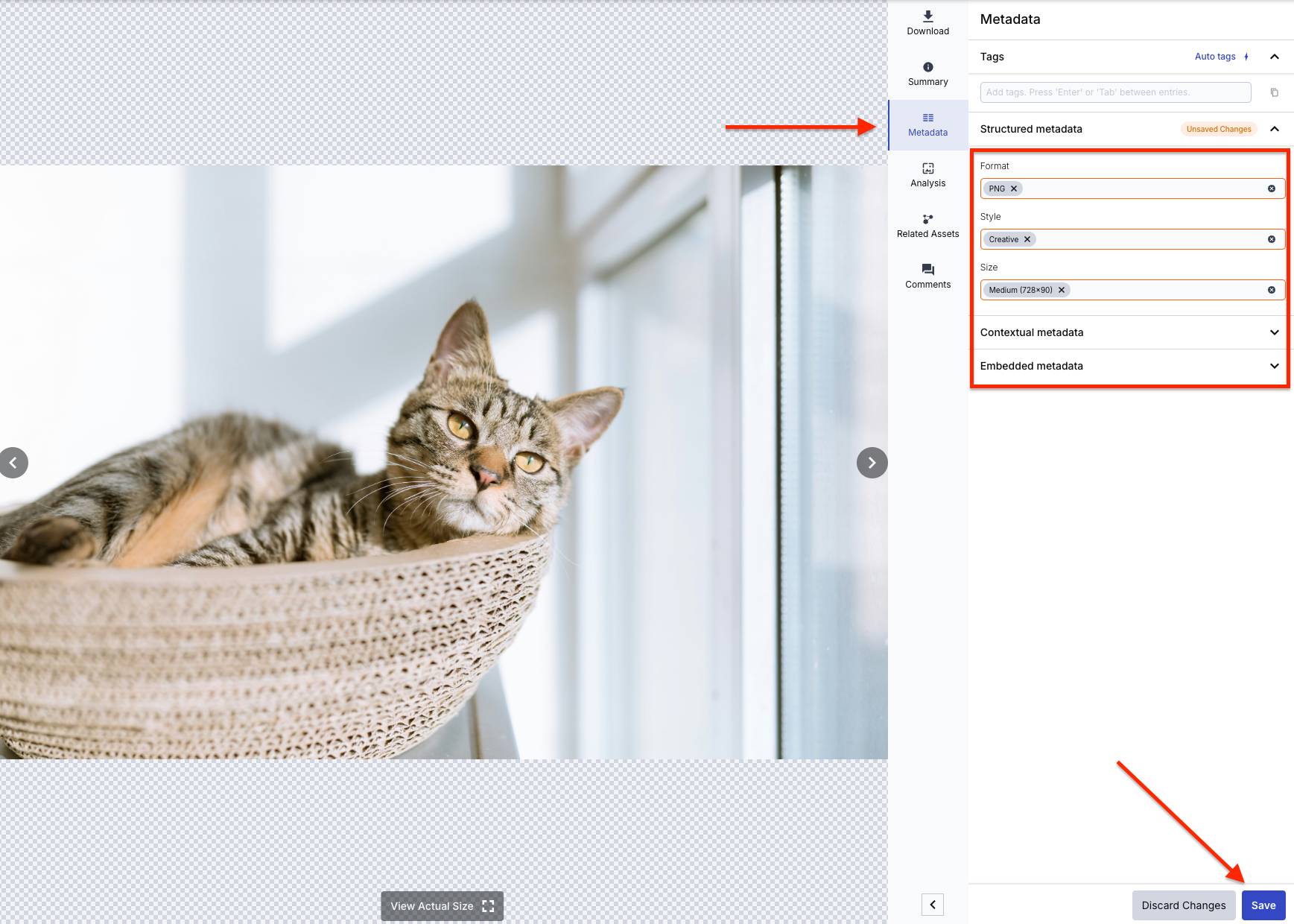 Structured Metadata with the Format, Style, and Size filled out.