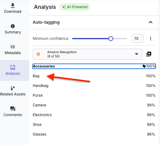 A red arrow points at one of the auto-tags "Bag."