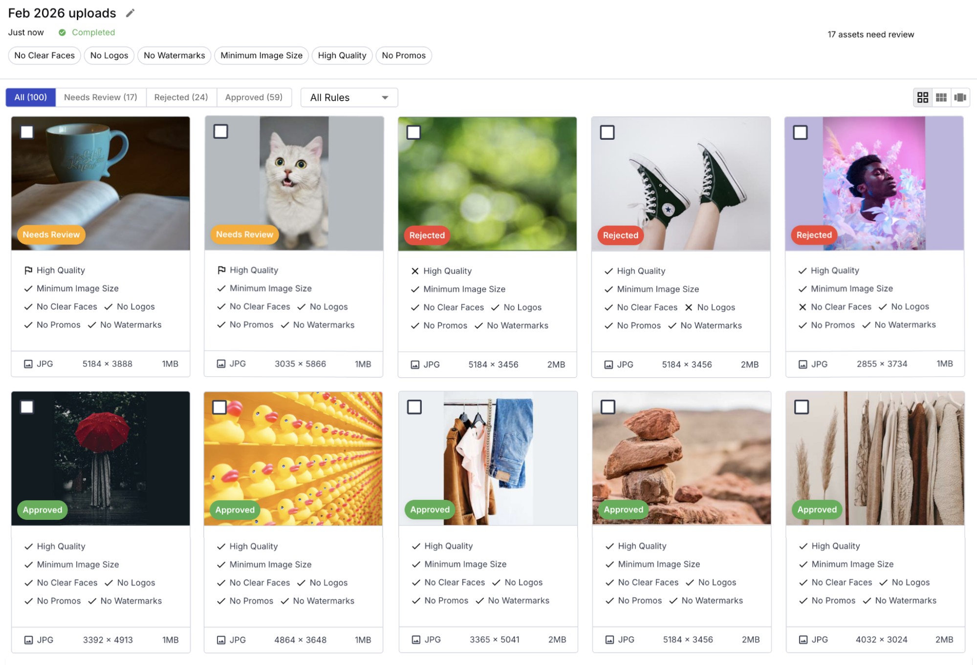 Images include descriptions underneath of whether or not they pass the custom rules, and the reasons why