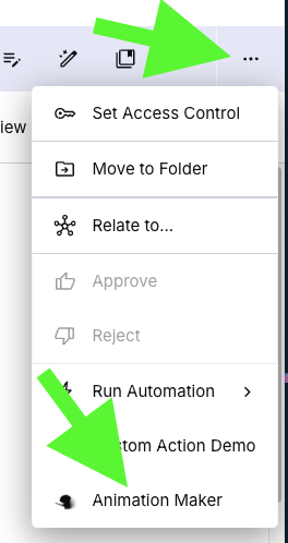 Custom ACtions menu showing Animation Maker as the last option in the dropdown menu