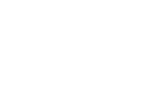 MS Logo