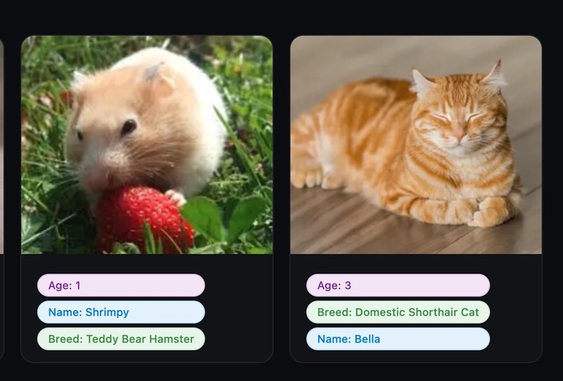 A pet store app depicting a Teddy Bear Hamster on the left and a Domestic Shorthair cat on the right.