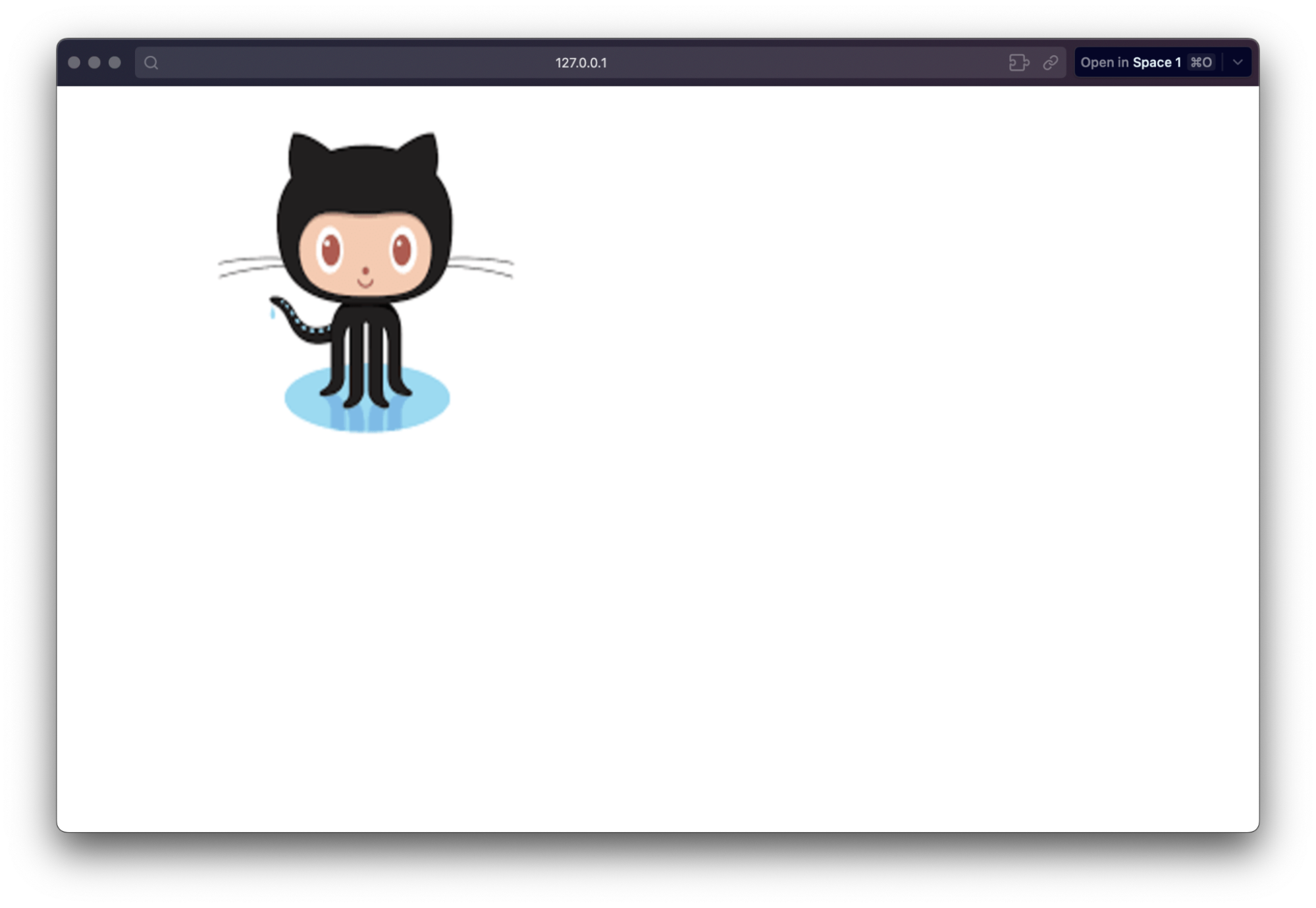 Same image of the black cat with the URL parameter