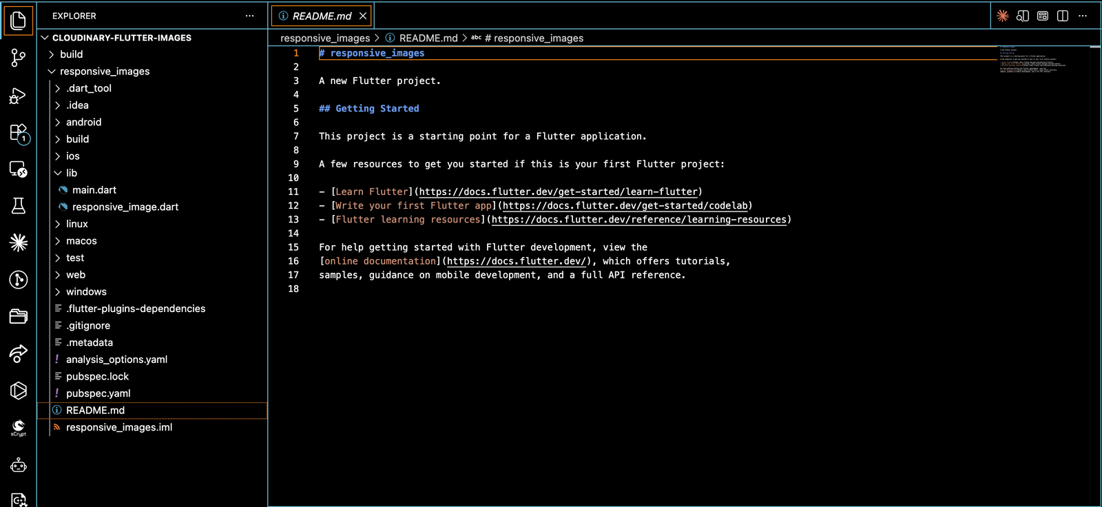 Project folder structure in VS Code after running flutter create.