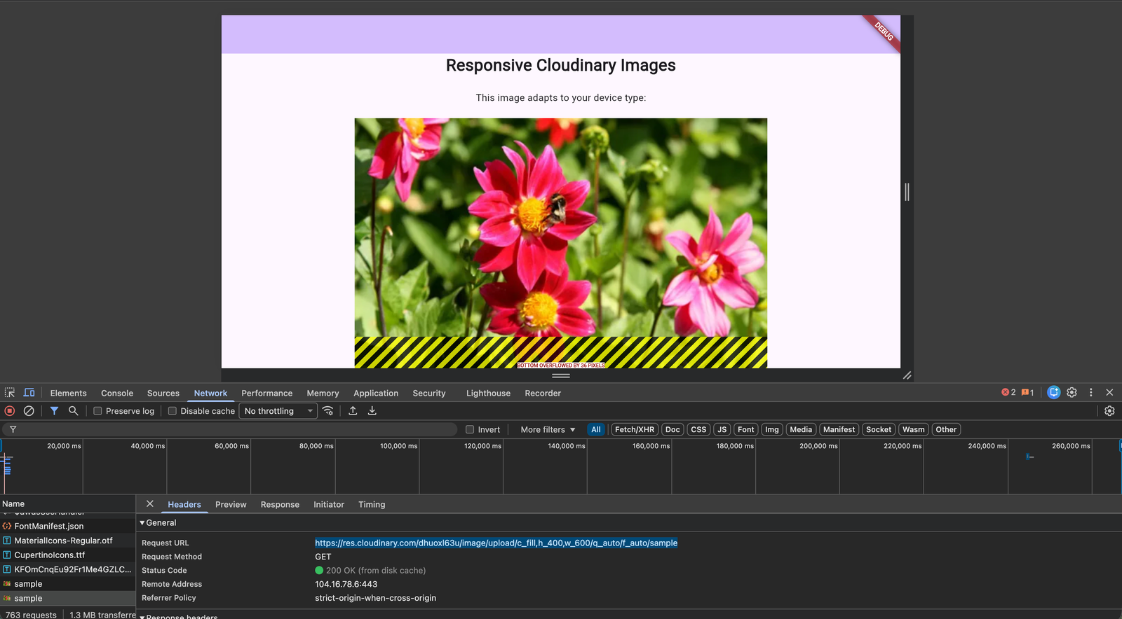 Cloudinary transformation URL on network request for iPad simulator.