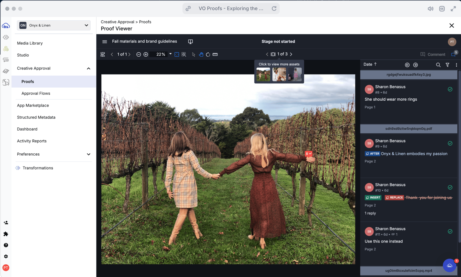 Proof viewer showing multiple team members collaborating on asset moderation.