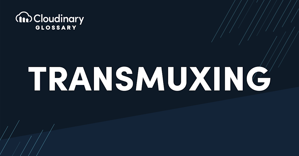 Transmuxing header