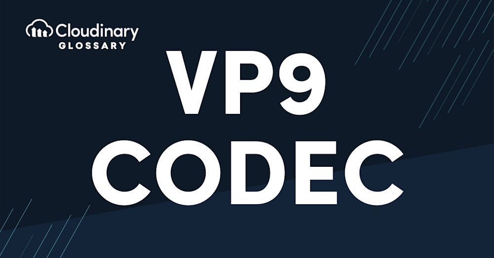 VP9 Codec header