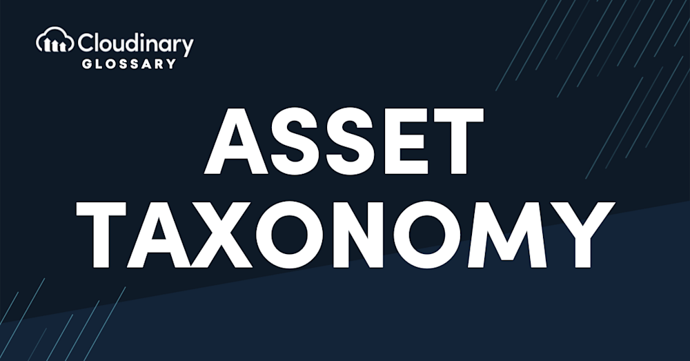Asset taxonomy