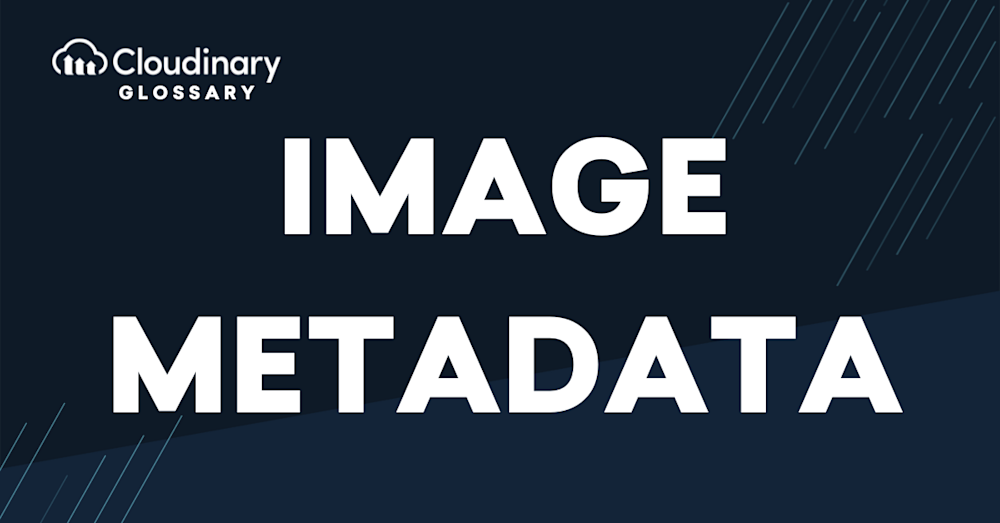 Image metadata