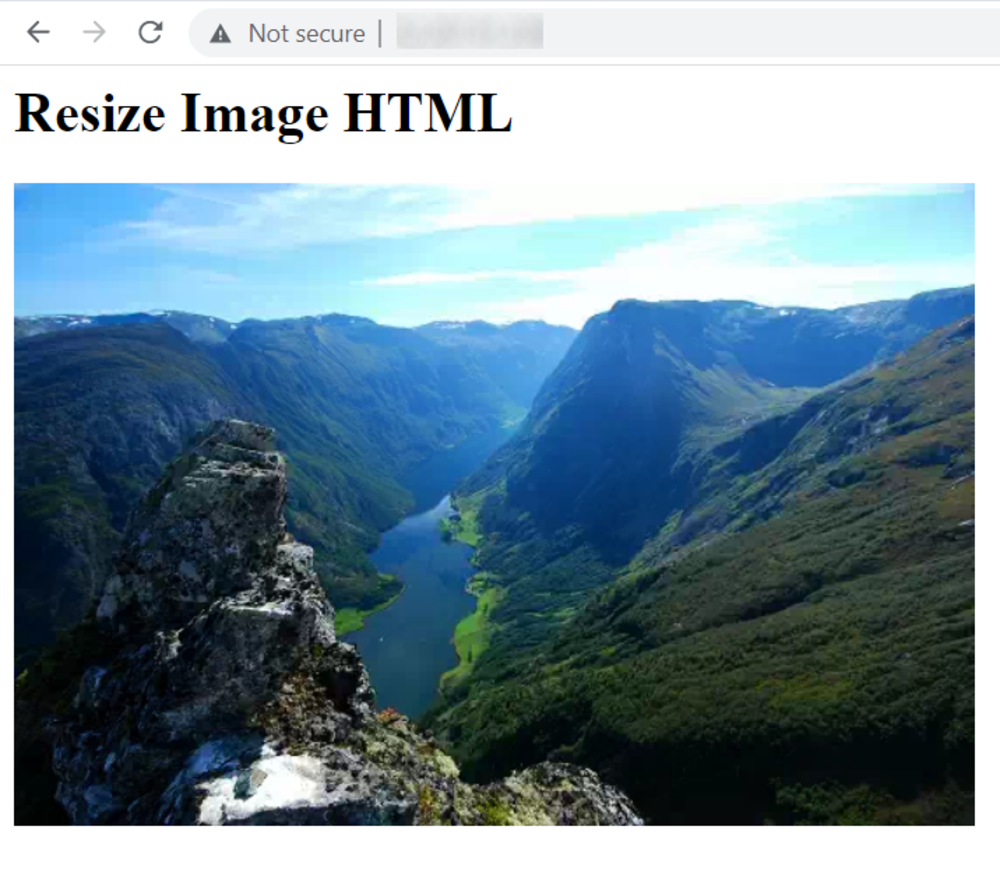 Resize image html