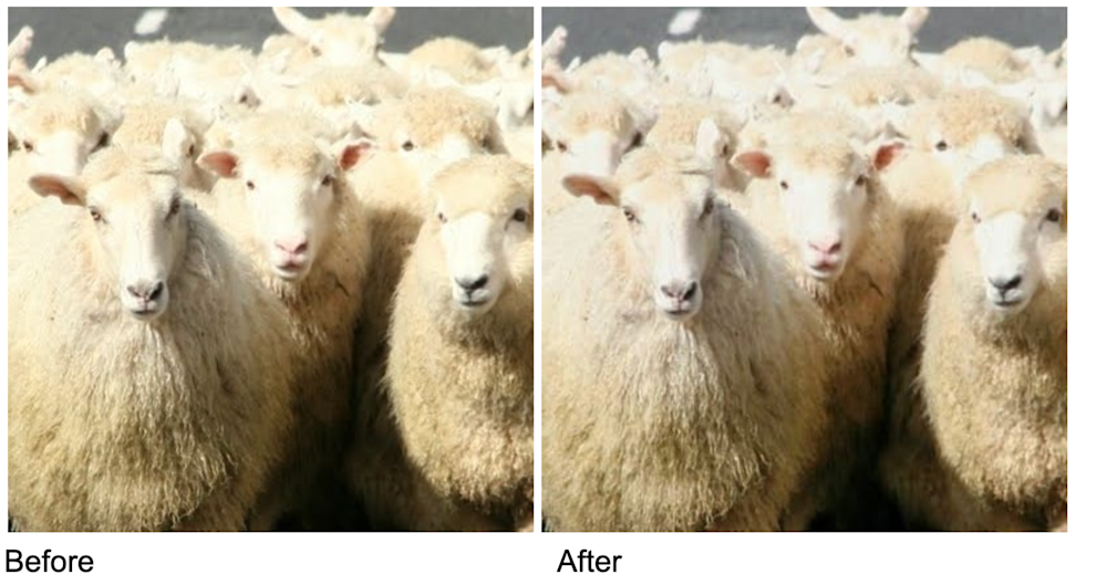 Before and after image