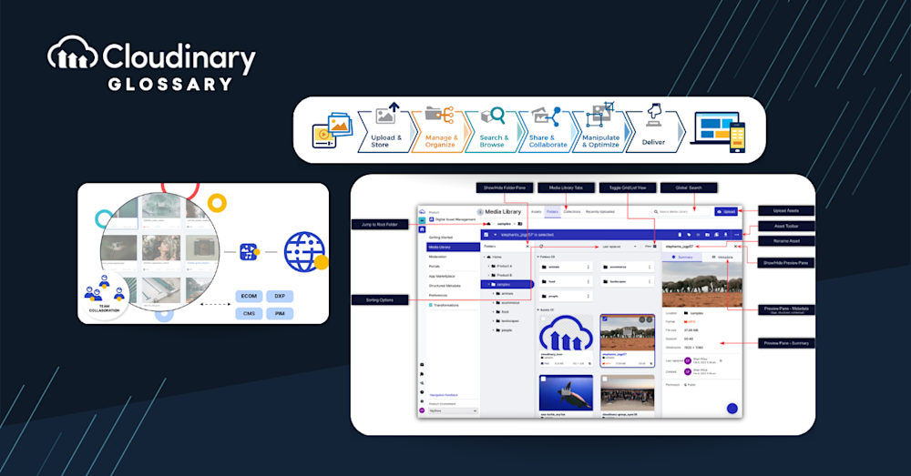 What is Social Media Asset Management