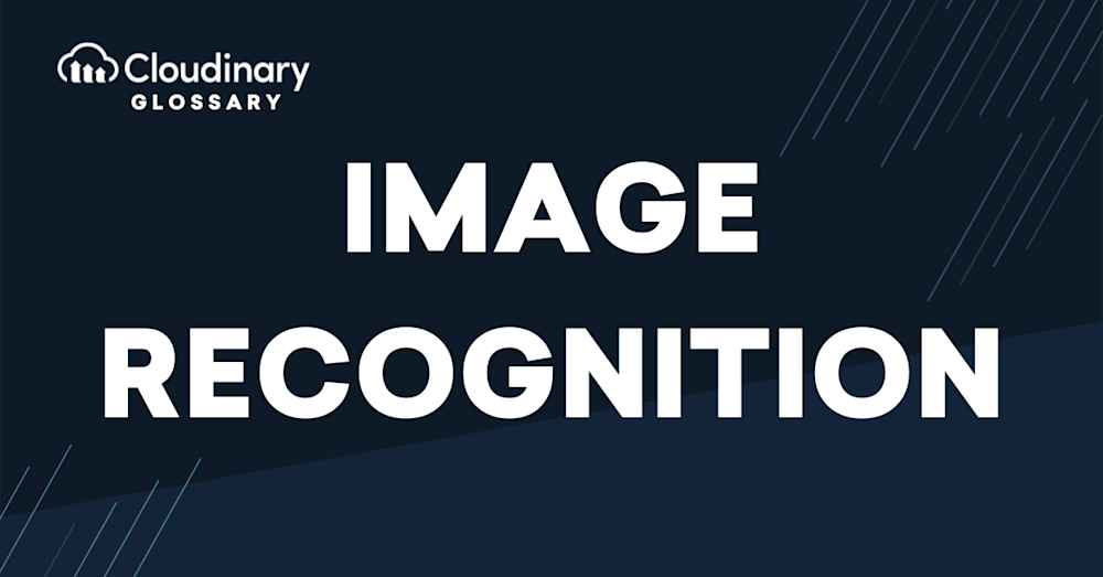 Image Recognition