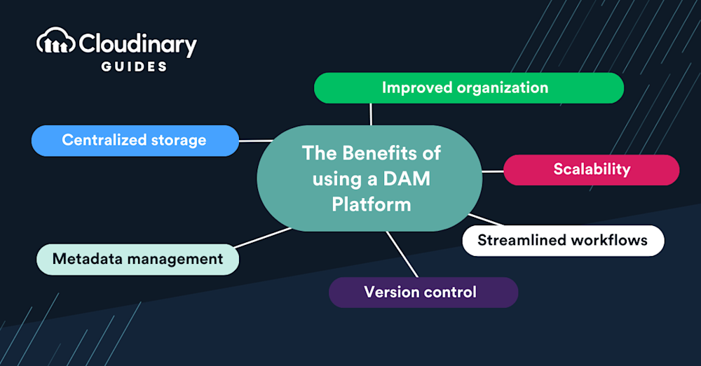 dam digital asset management