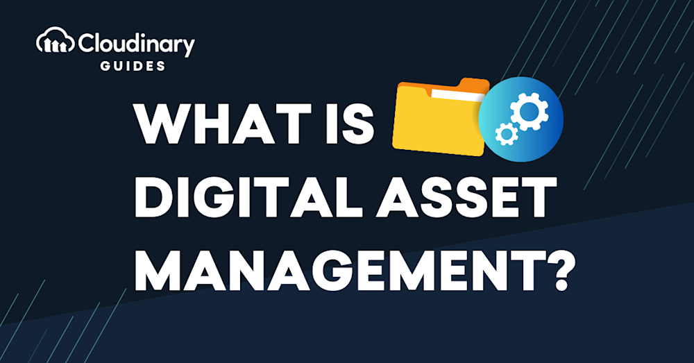 dam digital asset management