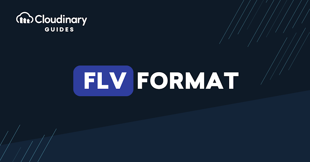 flv format