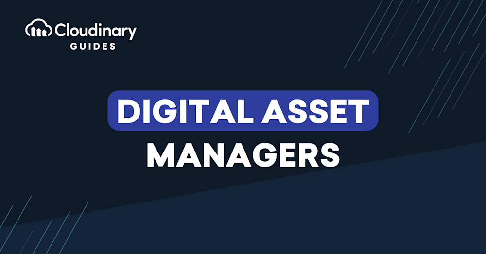 digital asset manager
