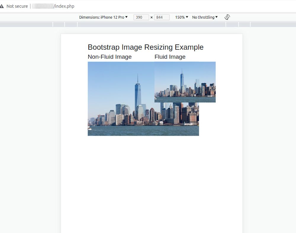 resize image bootstrap