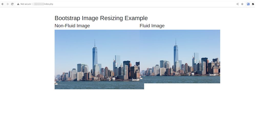 resize image bootstrap