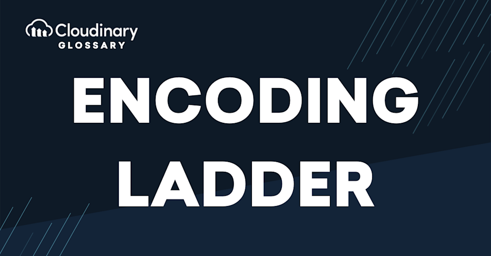 Encoding Ladder
