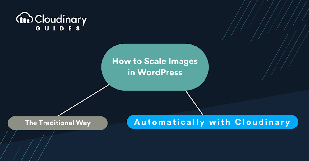 wordpress scale images