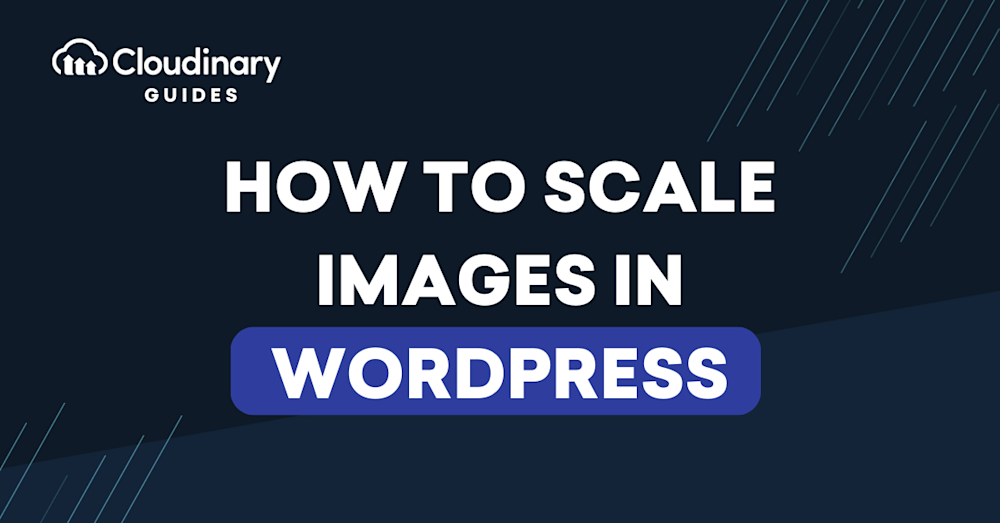 wordpress scale images