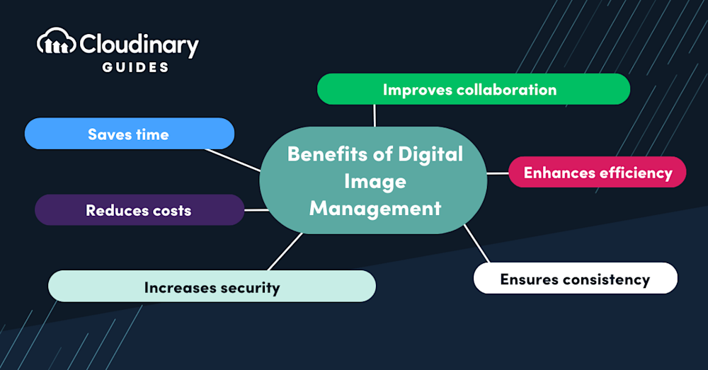digital image management