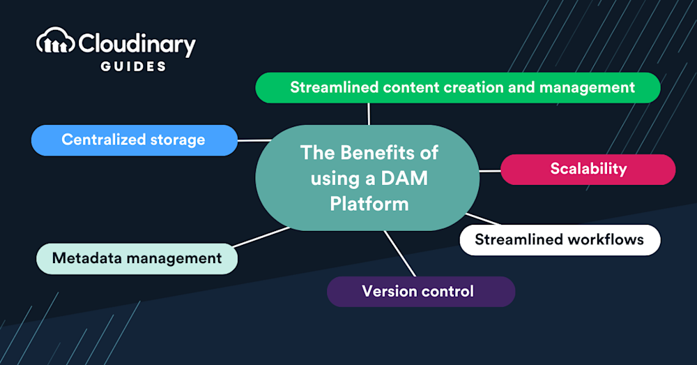 Marketing Digital Assets